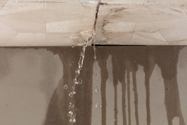 Professional Structural Drying technician working in Collbran, CO